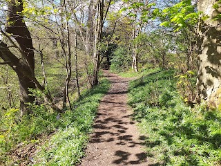 Beeslack Wood