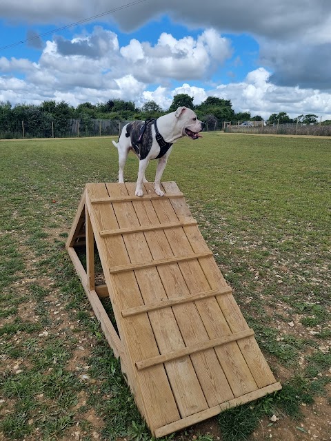 Paw Paddock - Fareham