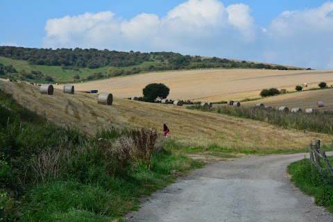 Mile Oak Farm