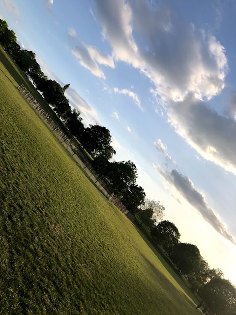 Pistachios in the Park