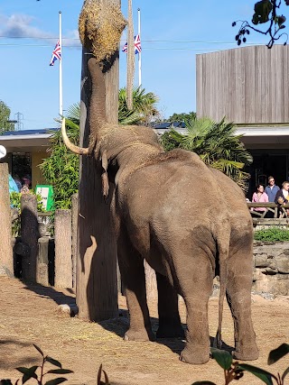 Zoo Main Entrance