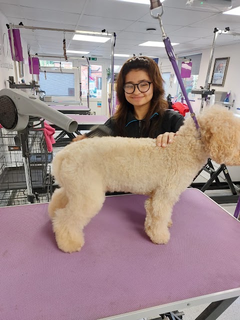 Sue Oliver Dog Grooming Studio