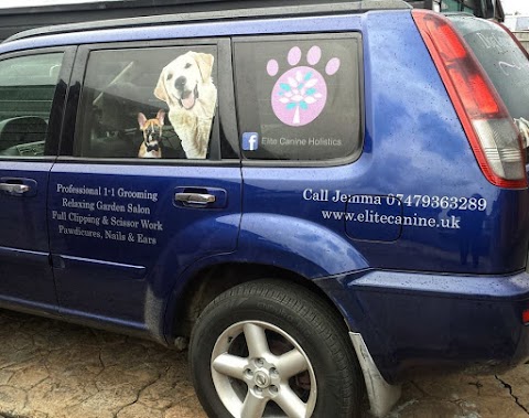 Elite Canine Holistics - Dog Grooming, Home-Boarding & Dog Walking