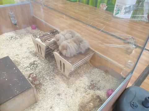 Pets at Home Kidderminster