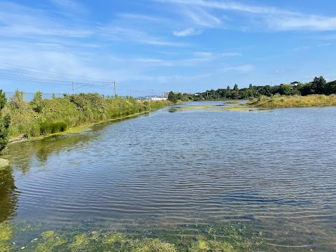 Booterstown Nature Reserve