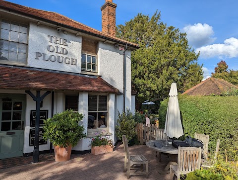 The Old Plough