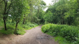 National Trust - Downs Banks