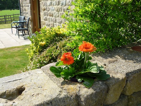 Slate Rigg Farm