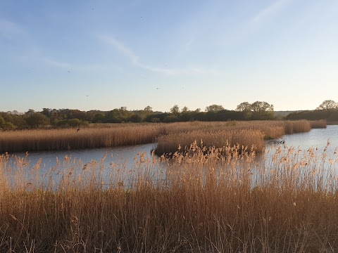 Surlingham Lodge Holiday Cottages