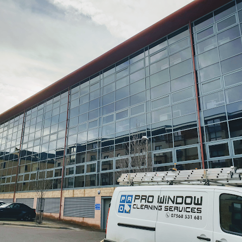 Pro Window Cleaning Services Ltd