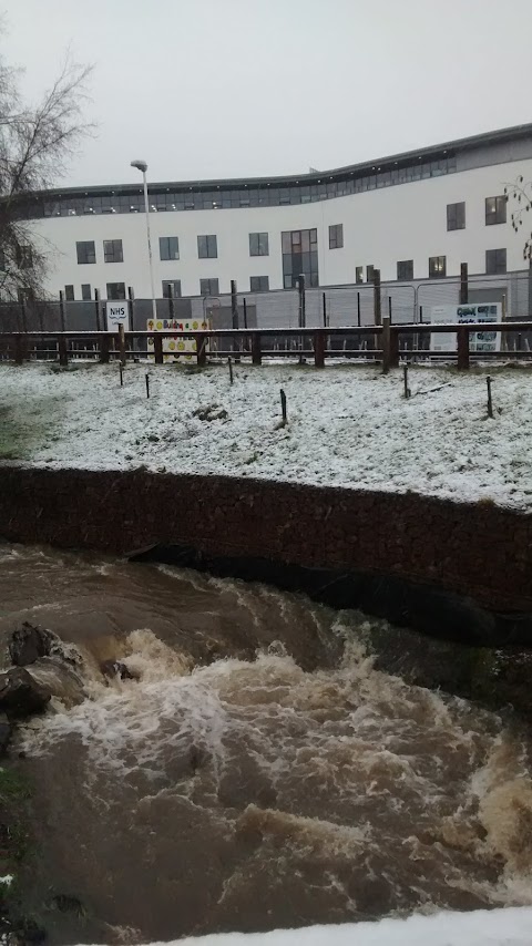 Royal Infirmary of Edinburgh