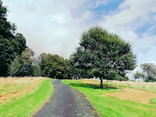 Parc Singleton Park