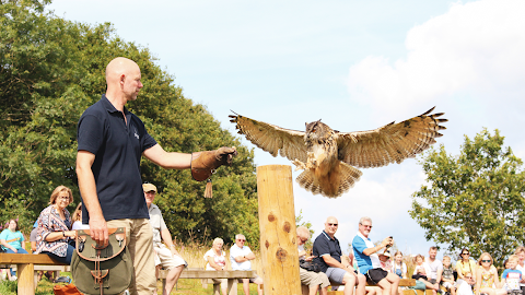 The British Bird of Prey Centre