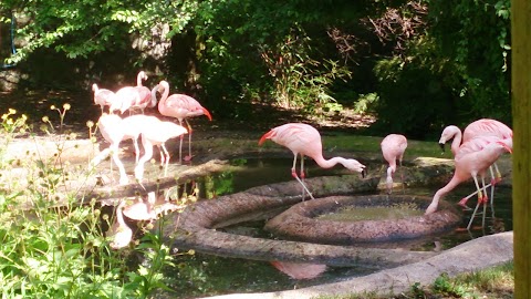 Edinburgh Zoo