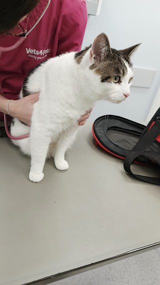 Vets4Pets - Biggleswade