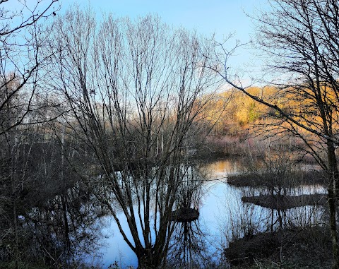 Ryton Pools Country Park