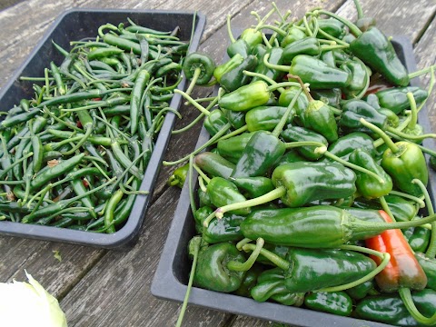 Norfolk Park Community Garden