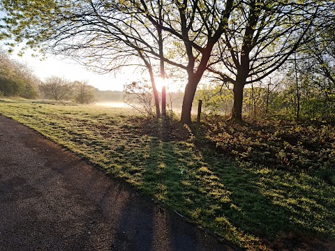 Central Forest Park