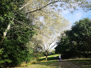 Wrenthorpe Park Play Area