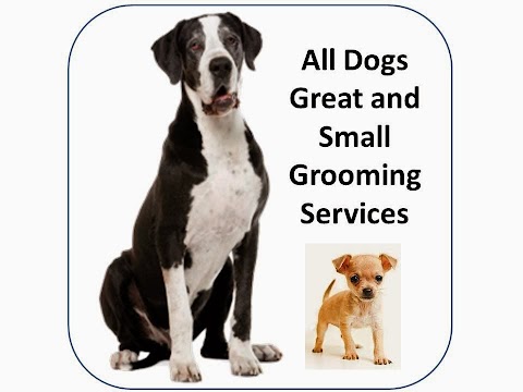 All Dogs Great and Small Grooming Services