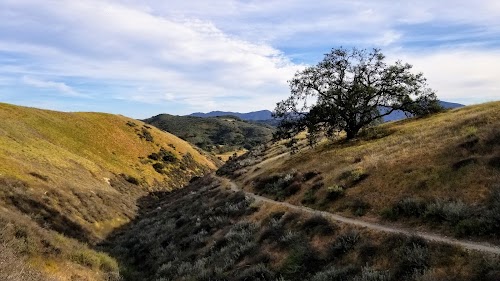 Cheesebro and Palo Comado Canyon