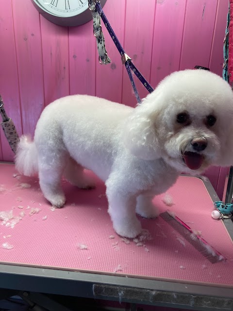 Pennypaws Dog Grooming