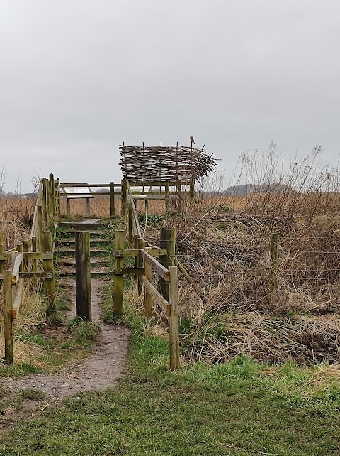 Lunt Meadows Nature Reserve