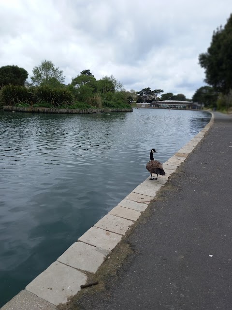 Waterside Pool