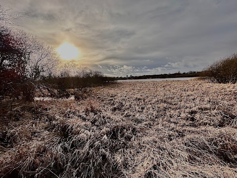 Possil Marsh