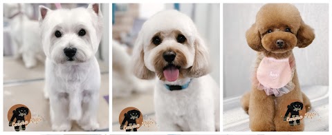 Emma Rose Pet Styling Professional Dog Groomer