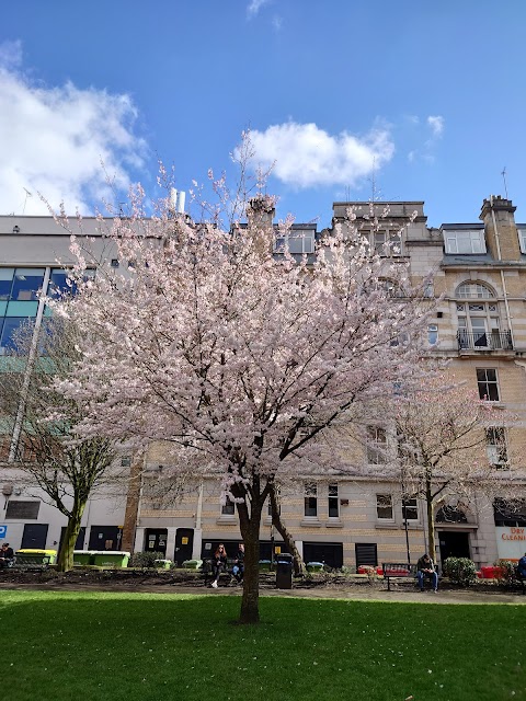 Parsonage Gardens