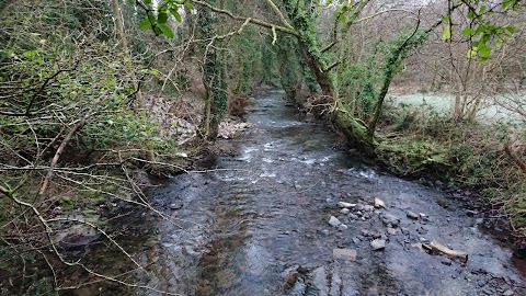 Longford Waterfall | Y Cwm