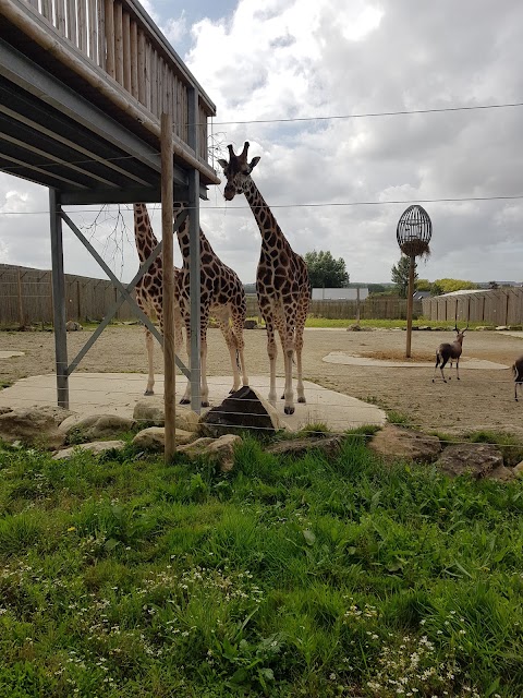 Wingham Wildlife Park