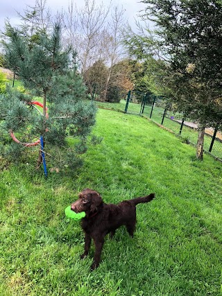 Bancroft Kennels & Cattery