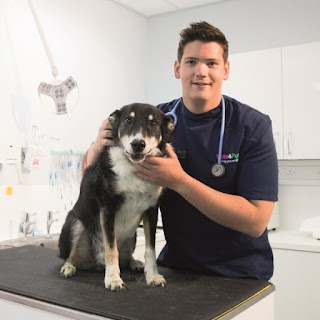 Vets4Pets - Sidcup