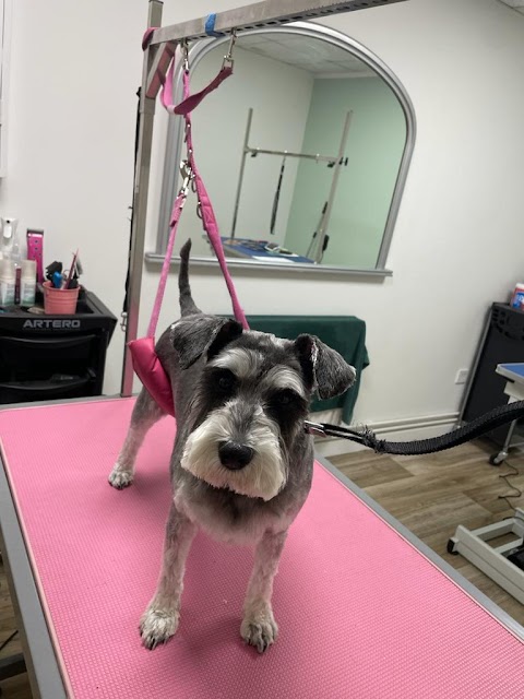 Barking Barnets Dog Grooming