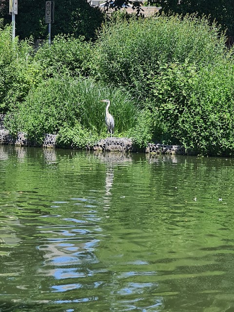 Winterbourne Duck Pond