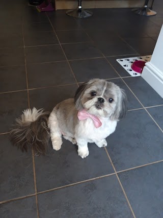 Little Scamps of Stourbridge Dog Grooming Salon