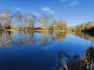 Thames Valley Park Nature Reserve