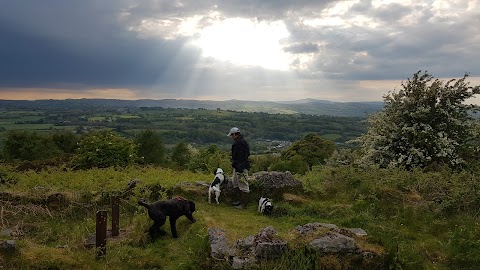 Pawlig'sPetCare - Dog Walking & Training, Wrexham