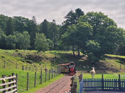 Clyde Valley Family Park