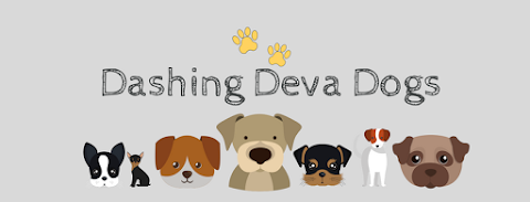 Dashing Deva Dogs