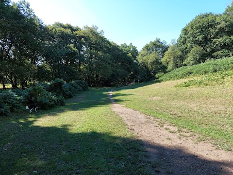 National Trust - Downs Banks