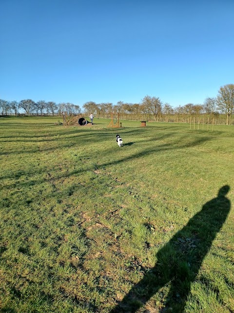 Molescroft Manor Secure Dog Walking Field