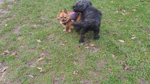 Styal Park Beach