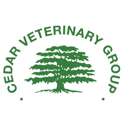 Cedar Veterinary Group - Ringwood