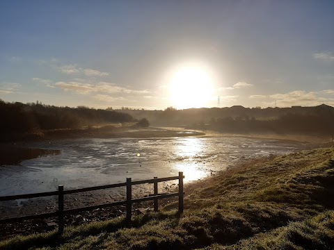 Buckpool and Fens Pool Local Nature Reserve