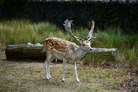 Bradgate Park (Newtown Linford Entrance)