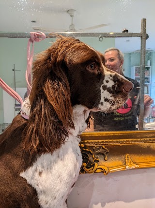 Bespoke Dog Grooming & Therapy