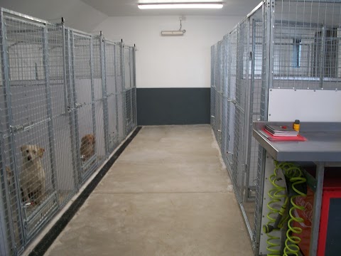 Keelstown Boarding Kennels